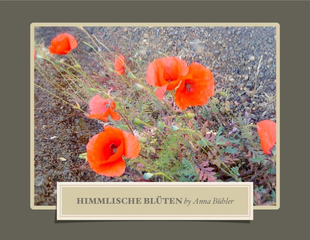 himmlische_blueten_001