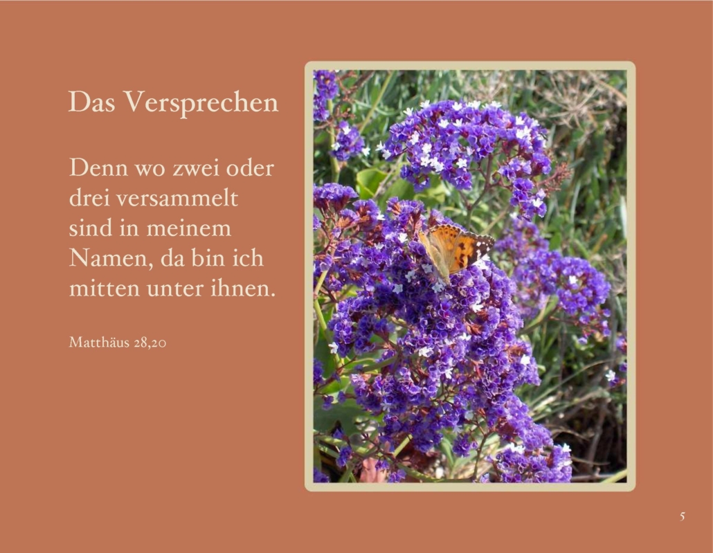 himmlische_blueten_006