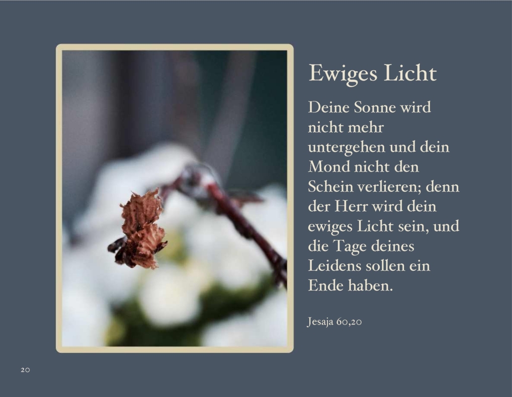 himmlische_blueten_021