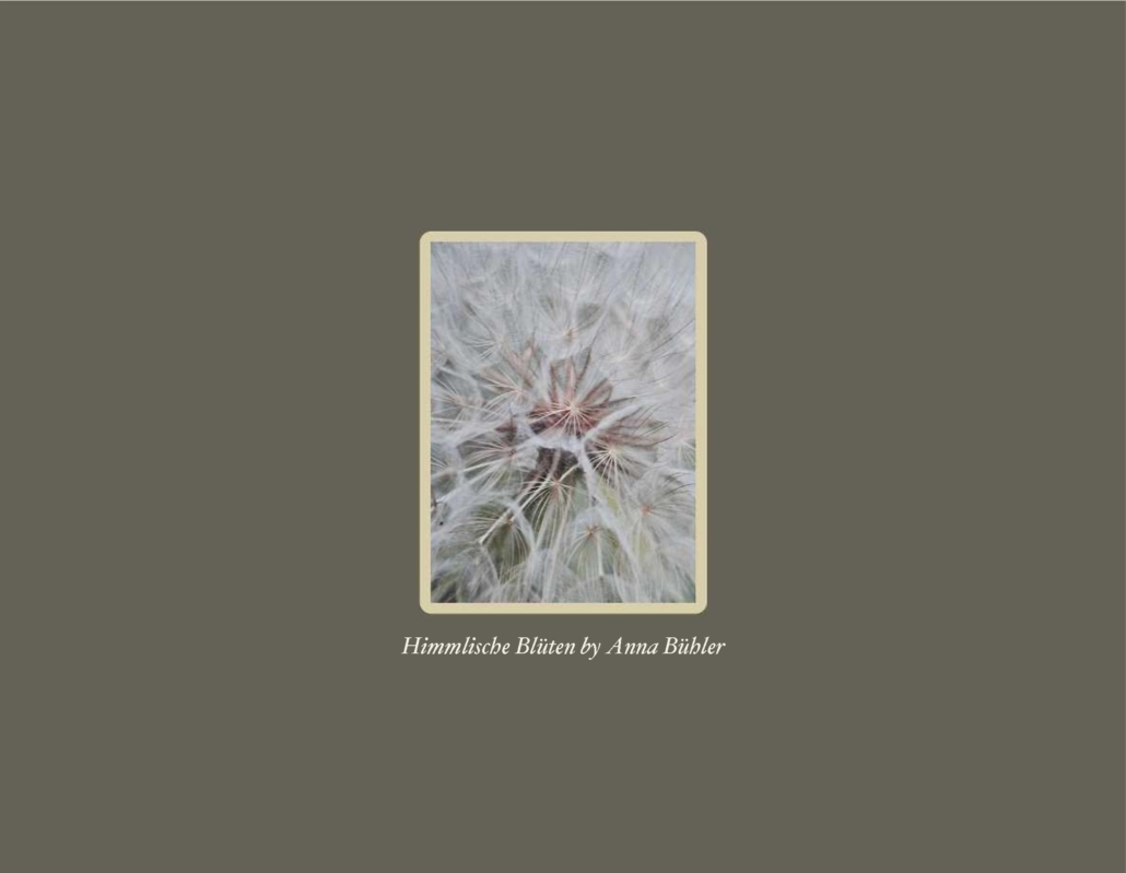himmlische_blueten_022