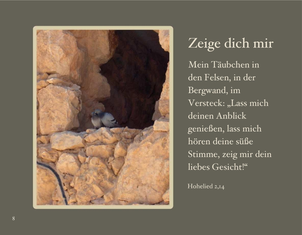 himmlische_wuesten_008