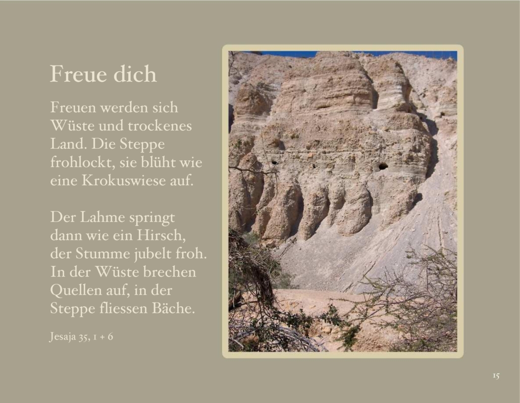 himmlische_wuesten_015