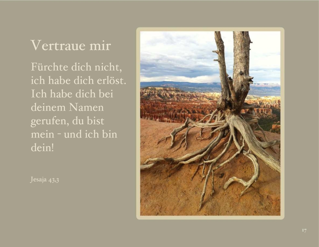himmlische_wuesten_017
